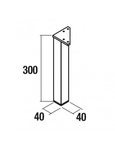 Juego 2 patas CROMO 330 mm