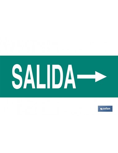 SEÑAL LUMINISCENTE 400X100MM. (PACK:...