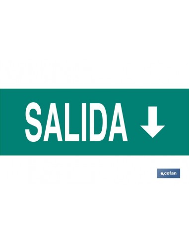 SEÑAL LUMINISCENTE 400X100MM. (PACK:...