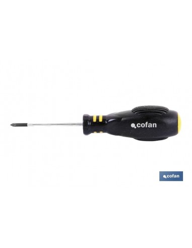 DESTORNILLADOR POZIDRIVE PZ. 2 X 100...