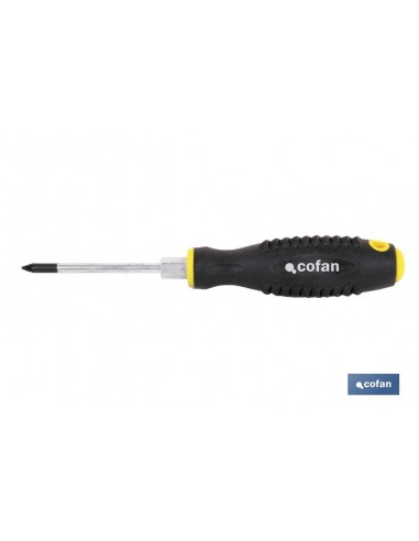 DESTORN. CR-MOLIBDENO C/HEX. PZ-2X100...