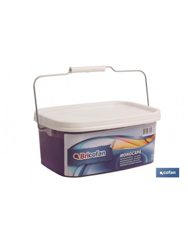 PINTURA PLÁSTICA MONOCAPA Violeta...