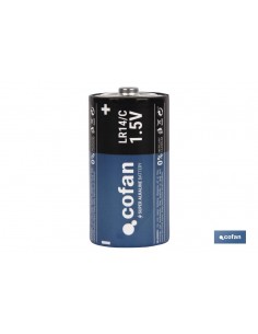 BLISTER 2 PILAS ALKALINA...