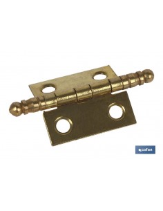 2 UDS. BISAGRA DE HIERRO...