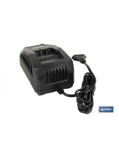 CARGADOR DE BATERÍAS 20 V - 2,4 A...