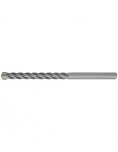 fischer Broca pared D-SDX...